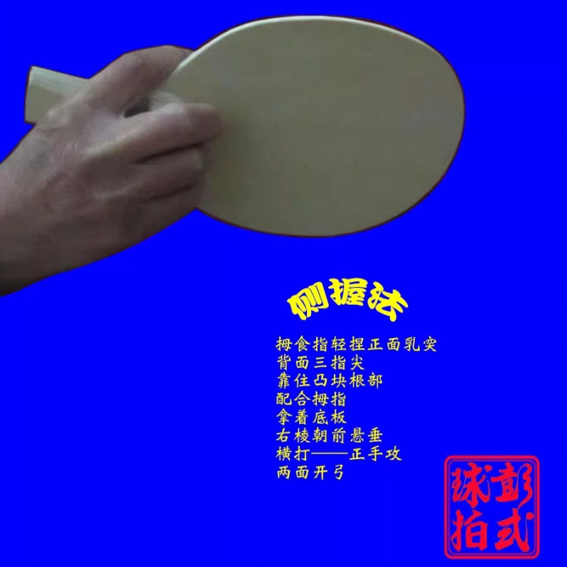 Chinese/Japanese Style Table T - огляд і ціна Table Tennis Xiom