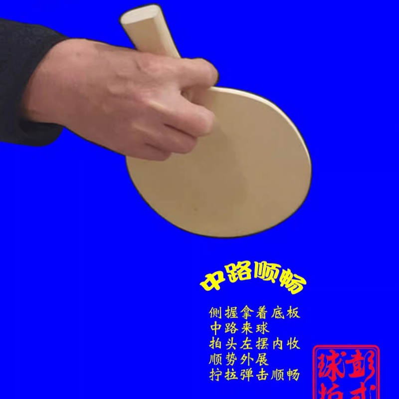 Chinese/Japanese Style Table T - огляд і ціна Table Tennis Xiom